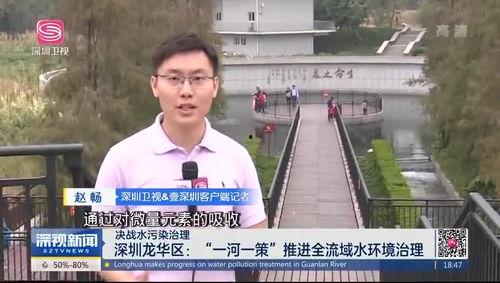 龙华大浪爆料最新消息新闻  第1张